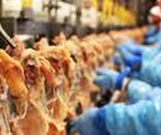 Negociação com as agroindústrias essa semana, trabalhadores pedem 8%