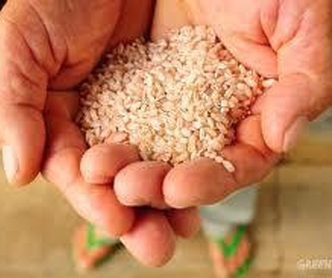 Após intensa negociação, trabalhadores do arroz conquistam 8,5%