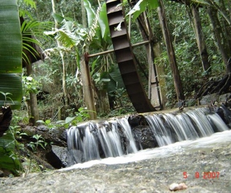 Mãe ambiente