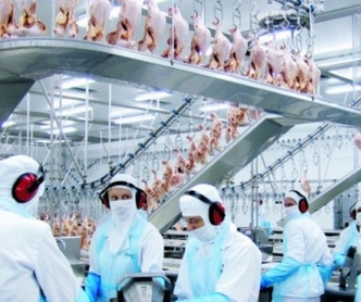 Empresas terão de pagar parcela cesta básica aos empregados em gozo de benefício previdenciário  